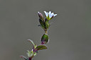 BUITEN BEELD Foto: 342709