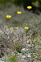 BUITEN BEELD Foto: 342710