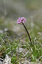 BUITEN BEELD Foto: 342711