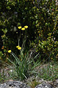 BUITEN BEELD Foto: 342723