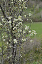 BUITEN BEELD Foto: 342728