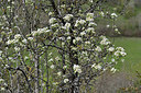 BUITEN BEELD Foto: 342729