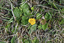 BUITEN BEELD Foto: 342732