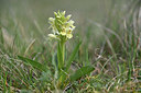 BUITEN BEELD Foto: 342734