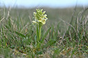 BUITEN BEELD Foto: 342735