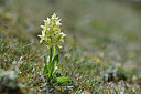 BUITEN BEELD Foto: 342745