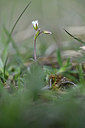 BUITEN BEELD Foto: 342747