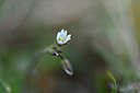 BUITEN BEELD Foto: 342748