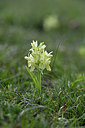BUITEN BEELD Foto: 342750
