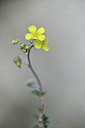 BUITEN BEELD Foto: 342761
