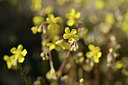 BUITEN BEELD Foto: 342762