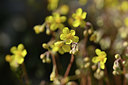 BUITEN BEELD Foto: 342763