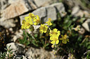BUITEN BEELD Foto: 342764