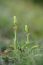 BUITEN BEELD Foto: 342765