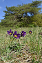 BUITEN BEELD Foto: 342772