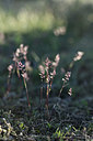 BUITEN BEELD Foto: 342800