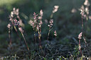 BUITEN BEELD Foto: 342801