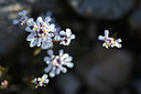 BUITEN BEELD Foto: 342806