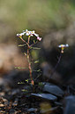 BUITEN BEELD Foto: 342807