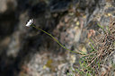 BUITEN BEELD Foto: 342812