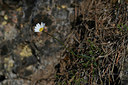 BUITEN BEELD Foto: 342813