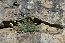 BUITEN BEELD Foto: 342820