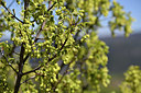 BUITEN BEELD Foto: 342829
