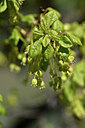 BUITEN BEELD Foto: 342830