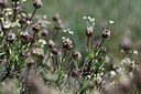 BUITEN BEELD Foto: 342833
