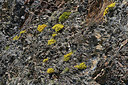 BUITEN BEELD Foto: 342834