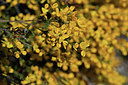 BUITEN BEELD Foto: 342836