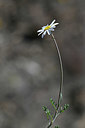 BUITEN BEELD Foto: 342839
