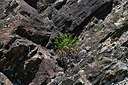 BUITEN BEELD Foto: 342841