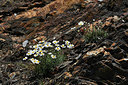BUITEN BEELD Foto: 342843