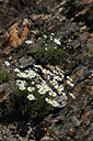 BUITEN BEELD Foto: 342844