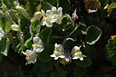 BUITEN BEELD Foto: 342850