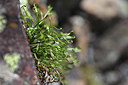 BUITEN BEELD Foto: 342857