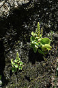 BUITEN BEELD Foto: 342859