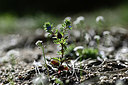 BUITEN BEELD Foto: 342872