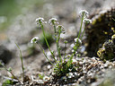 BUITEN BEELD Foto: 342873