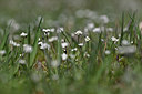 BUITEN BEELD Foto: 342876