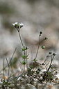 BUITEN BEELD Foto: 342880