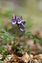 BUITEN BEELD Foto: 342882