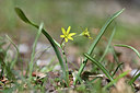BUITEN BEELD Foto: 342889