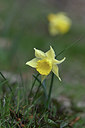BUITEN BEELD Foto: 342894