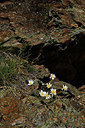 BUITEN BEELD Foto: 342898