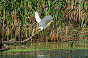 BUITEN BEELD Foto: 342969