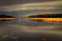 BUITEN BEELD Foto: 342982