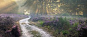 BUITEN BEELD Foto: 343046