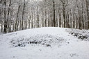 BUITEN BEELD Foto: 343076